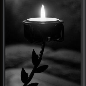 Meet your Posher, Miška